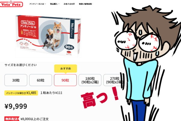 老犬がご飯を食べない時の食べさせ方｜余命を1日でも長くするために